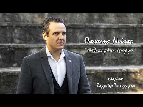 ΝΤΙΝΑΣ ΘΑΝΑΣΗΣ -