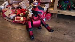Naughty Sony Aibo Swearing! ‘The F Word’ by Aibo Addicts 2,734 views 6 years ago 3 minutes, 11 seconds