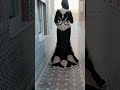 ولا بكيتي نبكي معاك