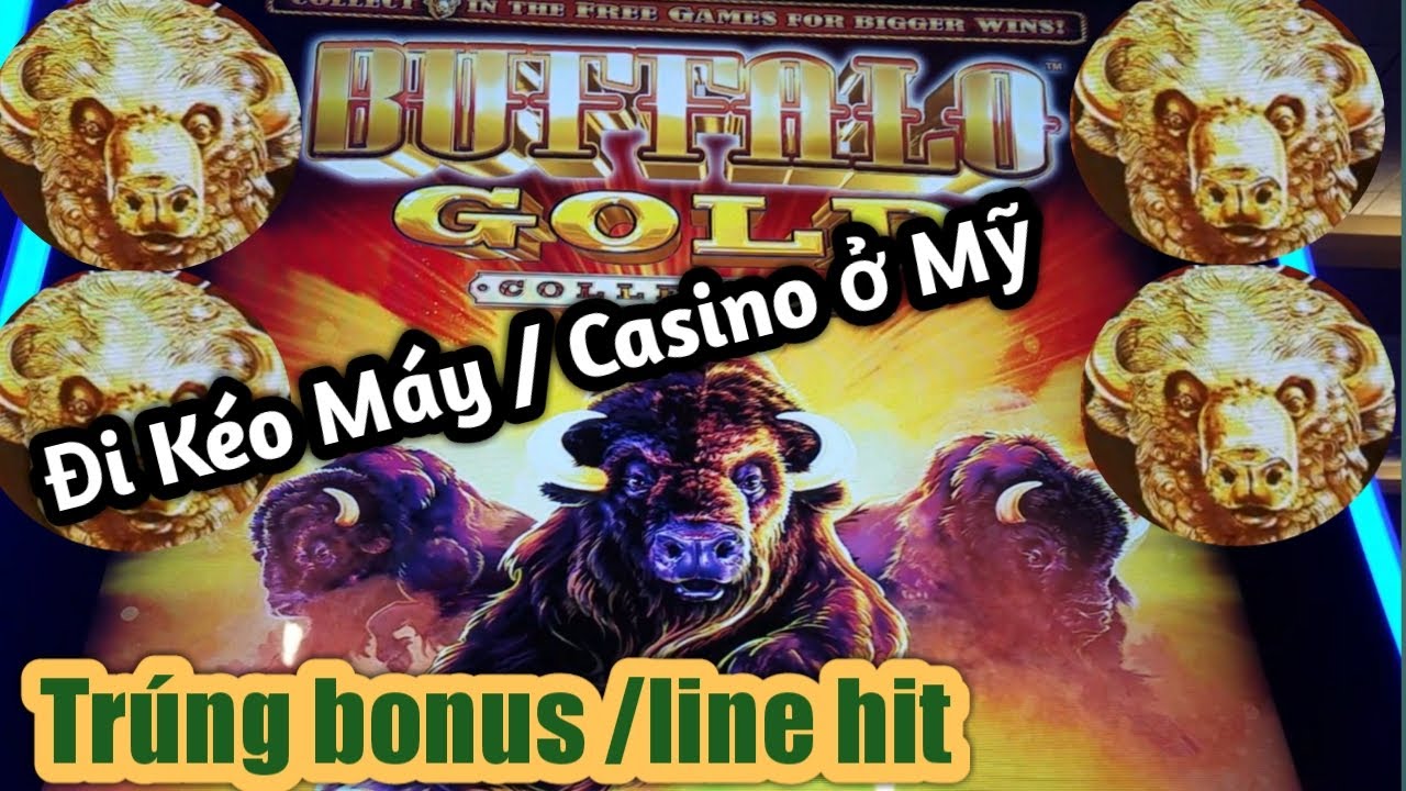 vn882 Kéo Máy | Máy đánh bạc | Buffalo và trúng bonus
