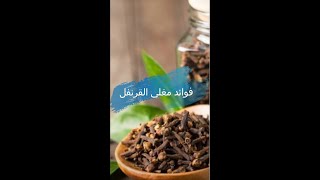 فوائد مغلي القرنفل