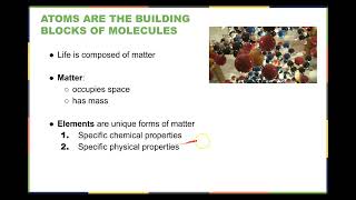 Chapter 2 The Chemical Foundation of Life