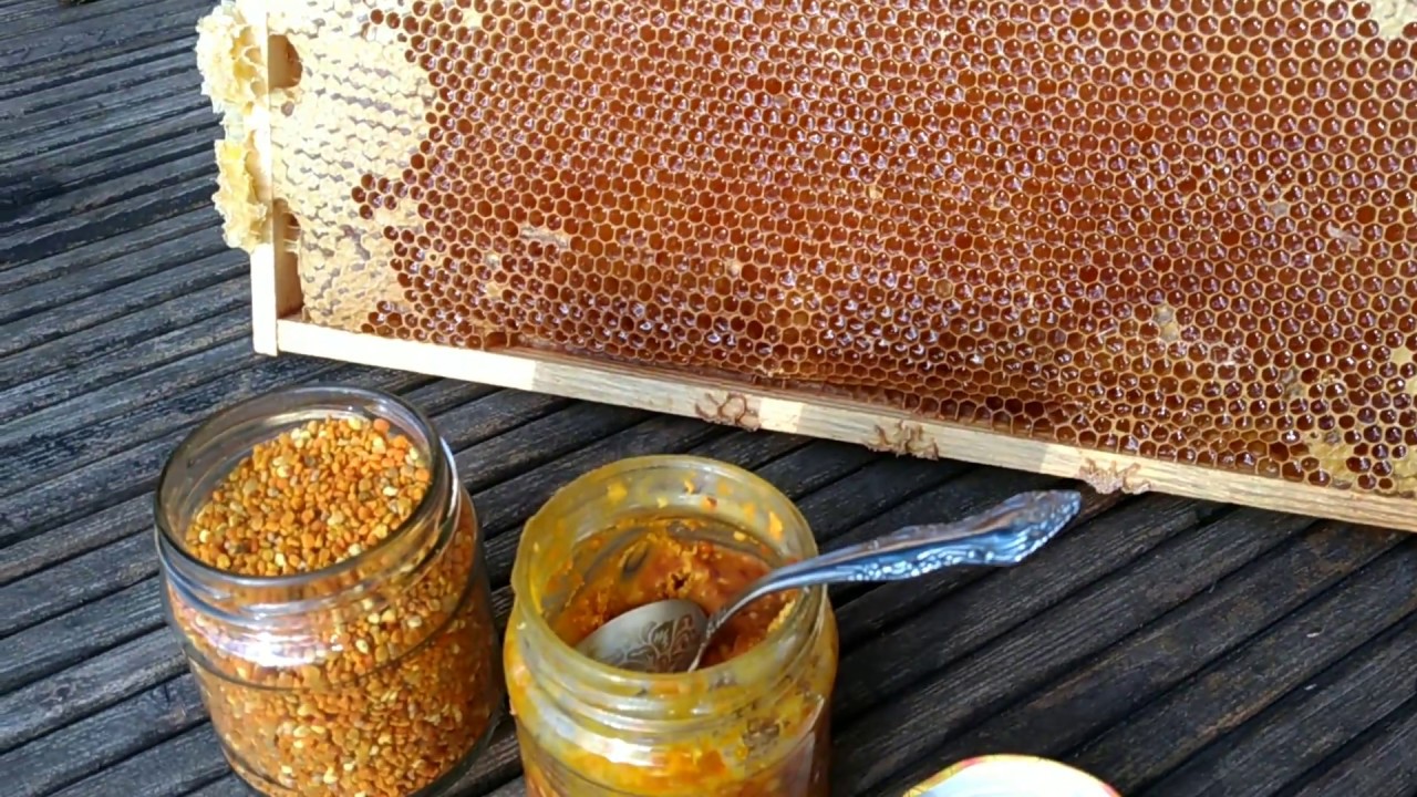 Сколько делать мед