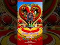 #superhit video #pawarholakhalidhobijatimere #firozpur #love #answer #nayenawelidulhanparpehledin