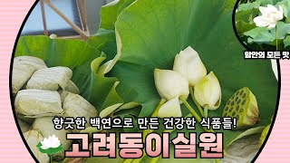 [함안의 모든 맛] 향과 효능이 좋은 백연으로 만드는 다채로운 건강식품, 고려동 이실원!