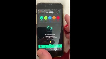 Daylio МОД на ios