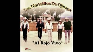 Espérame en el Cielo - Los Norteñitos De Ojinaga