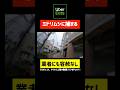 【容赦なし】ミドリムシは仕事中の業者も狙う #軽貨物 #ロケットナウ #ウーバー配達員 #ubereats配達員 #ubereats #ウーバーイーツ配達員