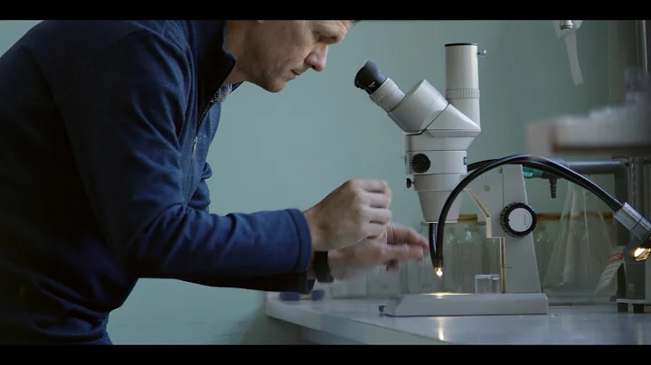 Global Initiative for Honey Bee Health - Australian Innovation in AgTech