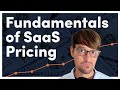 The saas pricing fundamentals i used to become a millionaire
