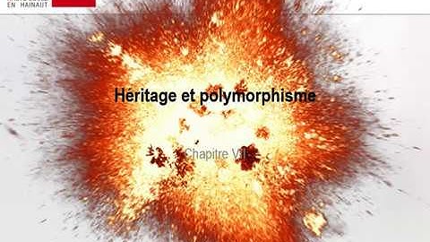 C++ orienté objet : héritage et polymorphisme