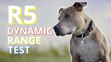 CANON EOS R5 DYNAMIC RANGE TEST - Non Scientific