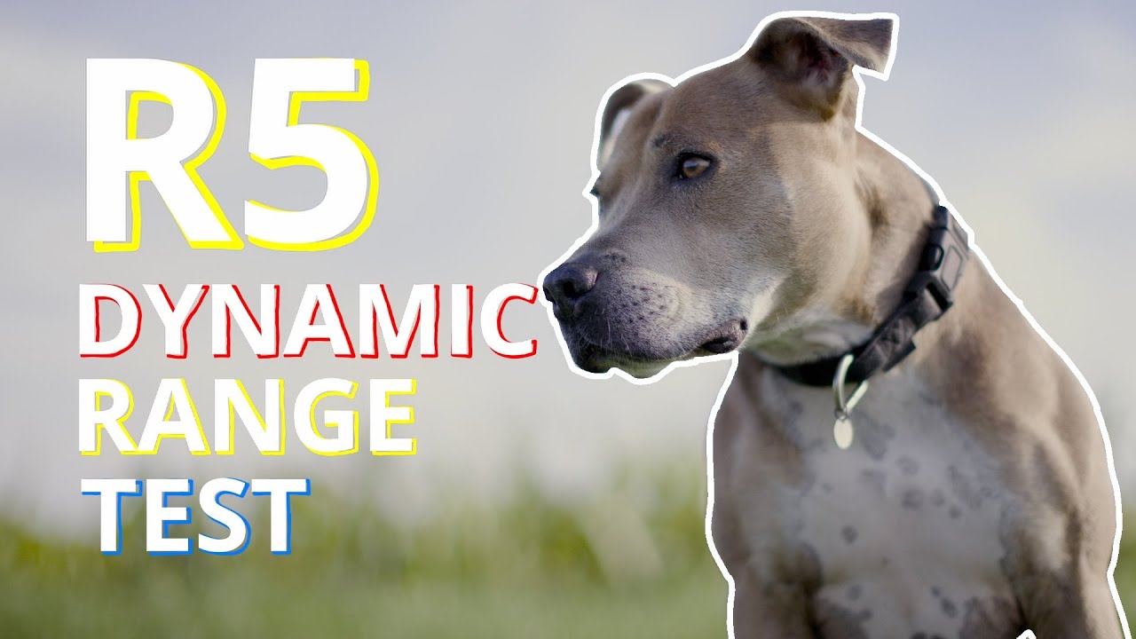 CANON EOS R5 DYNAMIC RANGE TEST - Non Scientific - YouTube