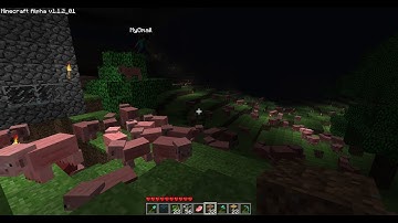 Minecraft Alpha 1.1.2_01 - MasterlazorX