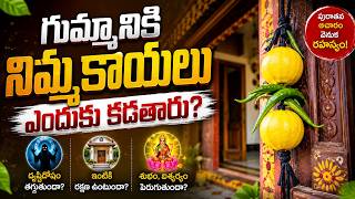గుమ్మానికి నిమ్మకాయలు ఎందుకు కడతారు?