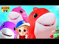 Laughing shark  baby shark song  nursery rhymes  kids songs  junior squad cartoon