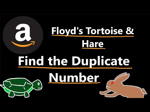Video: Duplicate Number Phenomenon - Alternative View