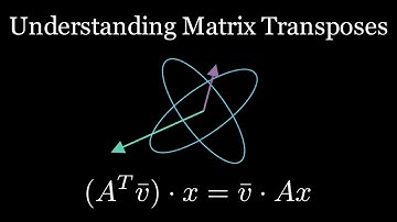 The Matrix Transpose: Visual Intuition