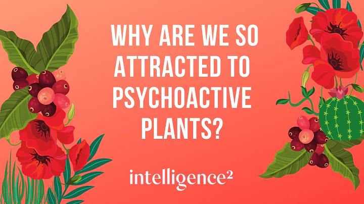 Michael Pollan: Why are we so attracted to psychoa...