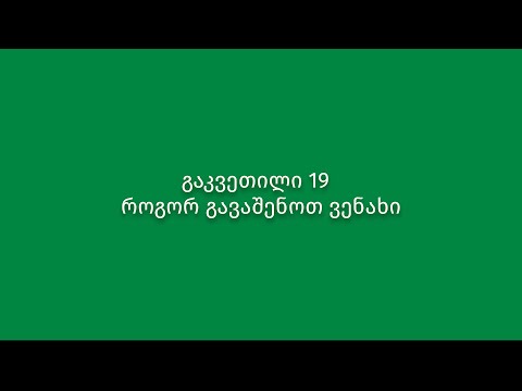 გაკვეთილი 19. როგორ გავაშენოთ ვენახი