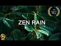 10 Hour | Calm Rain ASMR | Spiritual Rain Meditation | Relaxing Background Ambience