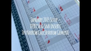 January 2015 Setup in Narrow Gemini from ChicSparrow
