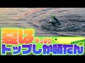 【実釣】地元河川でデイゲームに挑む！暑い夏は気温が高くなる前の朝まずめを狙え