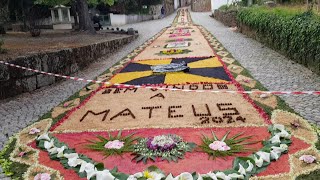Flowers carpet at Rua das Flores. Mateus, Vila Real, Portugal 2024-04-06