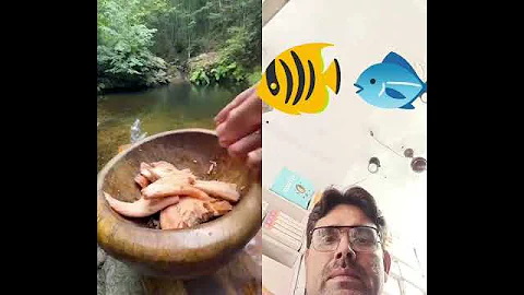 #fishing #cooking #food #outdoorcooking #collab #survival #fish