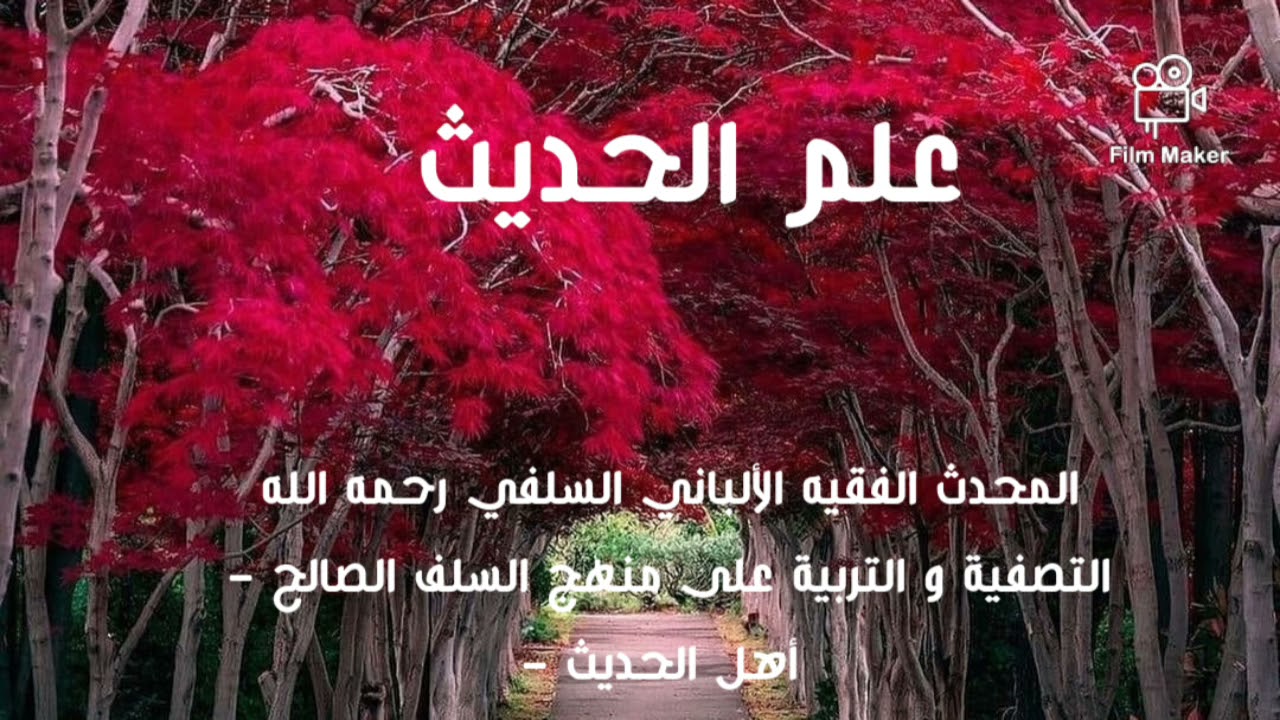 الإمام الألباني السلفي رحمه الله : يقدم علم الحديث