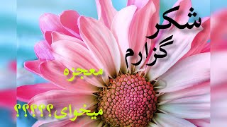شکر گزاری خداوند/نیایش با خدا/سپاسگزاری خدا