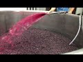 French Wine Correspondent - Bourgogne Winemaking - Wine Education Trip - Napa Valley Wine Academy