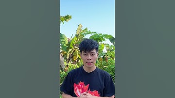 Thu qq và Wechat lẫ douyin #thànhbụi #douyin #wechat