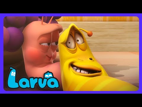 Larva - ¡Hola Pink! Corazón roto | Dibujos Infantiles | WildBrain Niños
