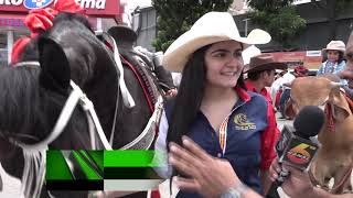 Espectacular desfile hípico en San Pedro Sula