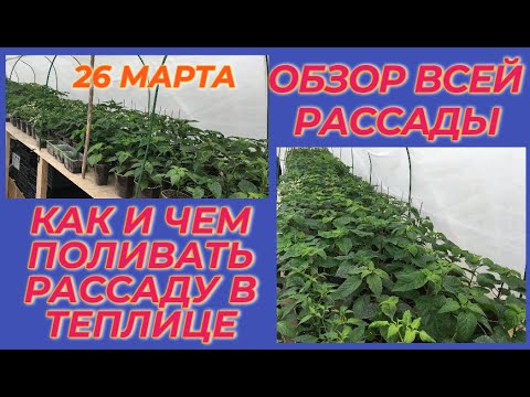 КАК И ЧЕМ