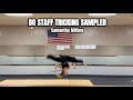 Samantha Mitling | Bo Staff Tricking Sampler