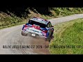 Rallye Vosges Grand Est 2026 - Day 2 - Big Show and Big Cut 