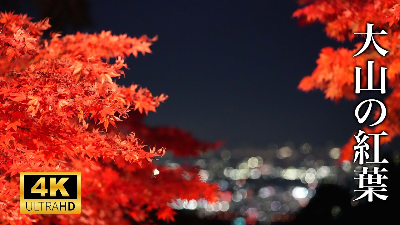 SONY FE 50-150mm F2 GM（ソニーEマウント） | MAP RENTAL
