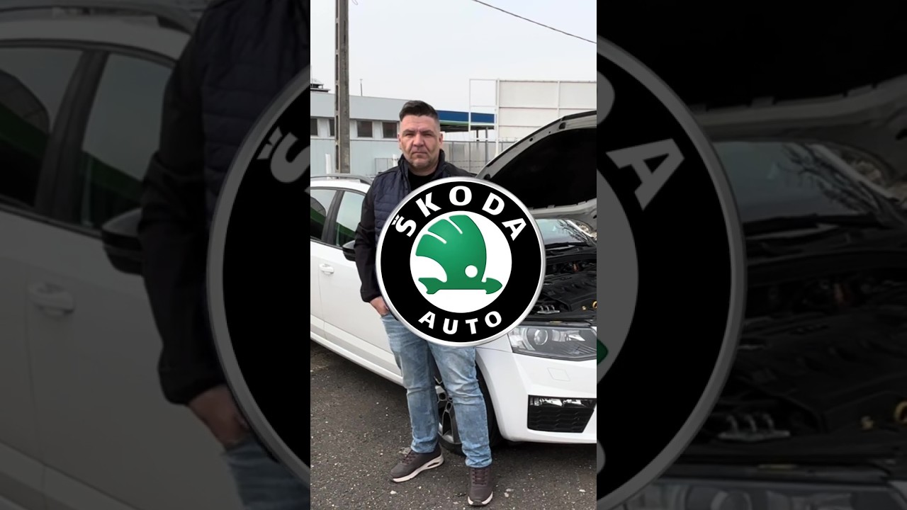 Skoda Octavia, EGR, turbó, részecskeszűrő (DPF) katalizátor, motor tisztítás