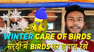 Winter Care of Birds | Sardi Me Birds ka Khayal Rakhe | Java, Lovebirds, Cockatiel | Happy Budgies