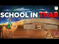 An Amazing School