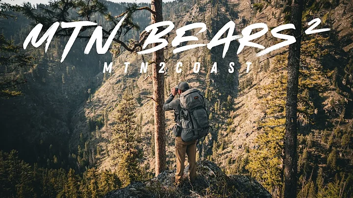 MTN BEARS 2 | Spring Bear 2025 | 4K FILM 🎥 🎬