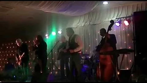 PETER CONRAD et JOE CARDUCCI ( sweet home chicago ...