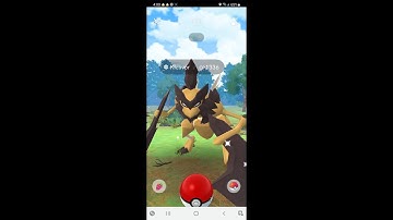 Bug Out Timed Research & Collection Challenge: Butterfly Effect Strength or Speed String Theory