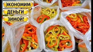 🌶️ПЕРЦЫ ЗИМОЙ НЕ ПОКУПАЮ‼️ ЭКОНОМЛЮ ДЕНЬГИ И ВРЕМЯ 🌶️ПЕРЦЫ ЗИМОЙ НЕ ПОКУПАЮ‼️ ЭКОНОМЛЮ ДЕНЬГИ И ВРЕМЯ