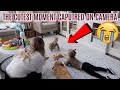 I LOVE BEING A MOM. DAY IN THE LIFE OF A MOM OF 3 | BABY&#39;S FIRST TIME CRAWLING | Tara Henderson