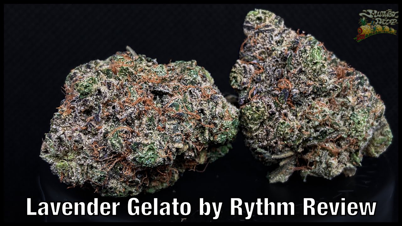 Lavender Gelato by Rythm Review YouTube