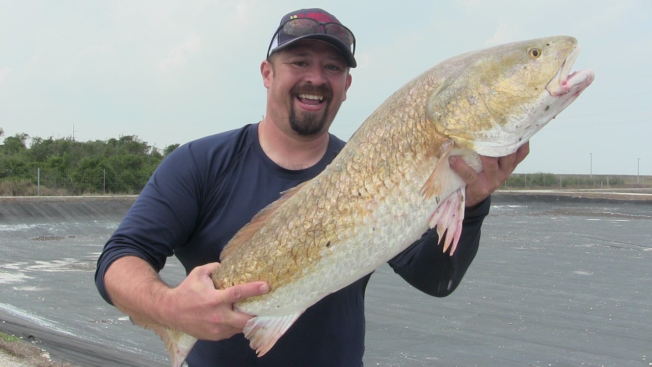 WE GOT V.I.P ACCESS TO FISH THE CCA HATCHERY-BULL REDFISH EVERYWHERE-CORPUS FISHING-