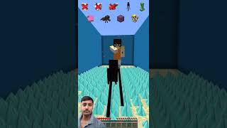 #minecraft